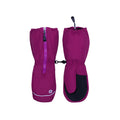 Chuck Winter Mittens - Wild Aster