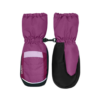 Casey Winter Mittens - Wild Aster